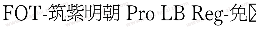 FOT-筑紫明朝 Pro LB Reg字体转换